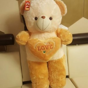 Cute Plush Teddy Bear with Heart Pillow