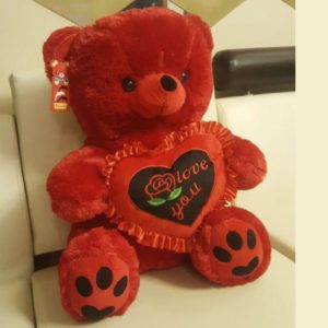 Radiant Red Teddy Bear