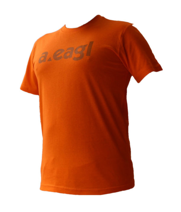 Crew Neck Orange T-Shirt in PAKISTAN